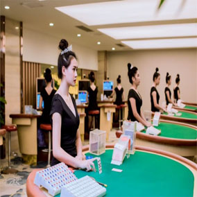 案例展示